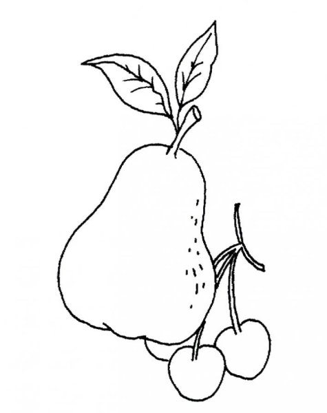 Раскраска фрукты груша
