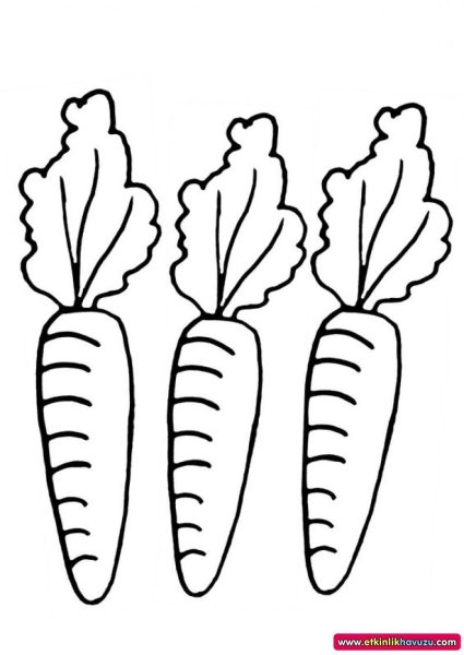 Морковь раскраска
