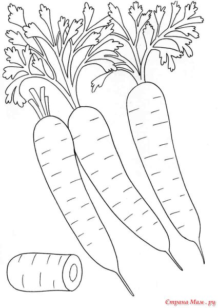 Раскраска овощи морковь