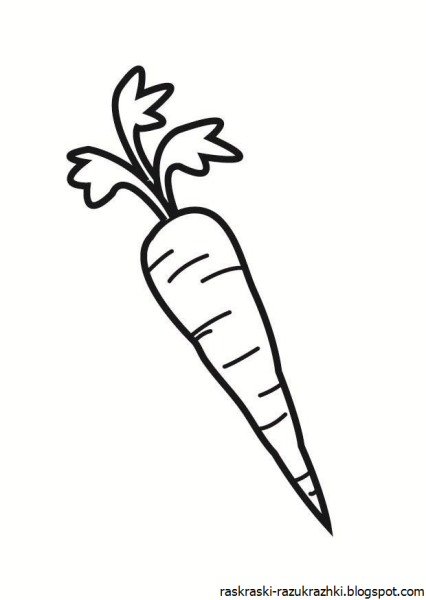 Морковь раскраска для детей