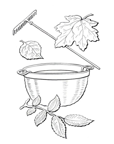 Уборка листьев раскраска