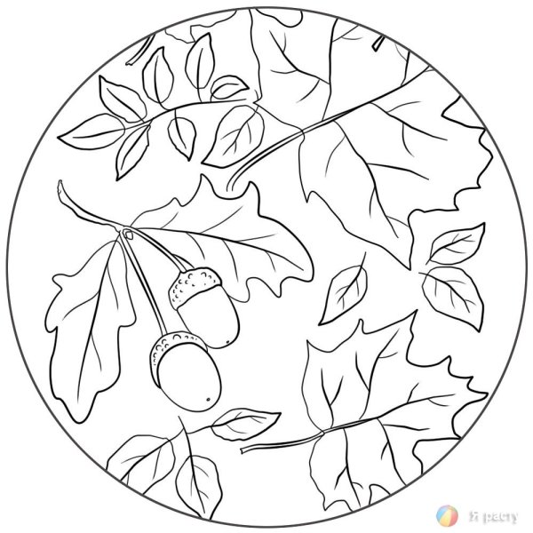 Осень Краса раскраска