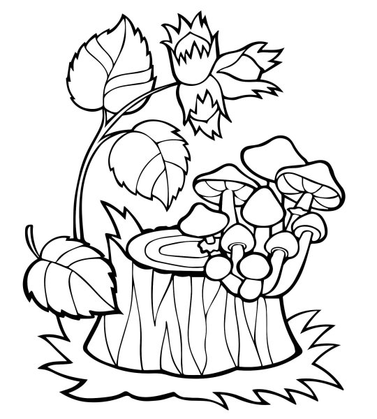 Осенние раскраски для малышей