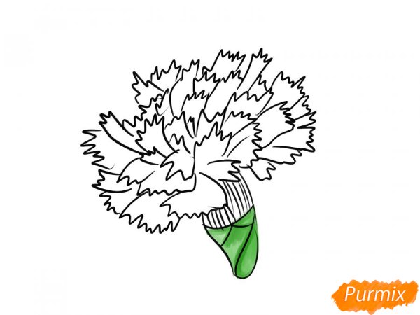 Гвоздики рисунок легкий