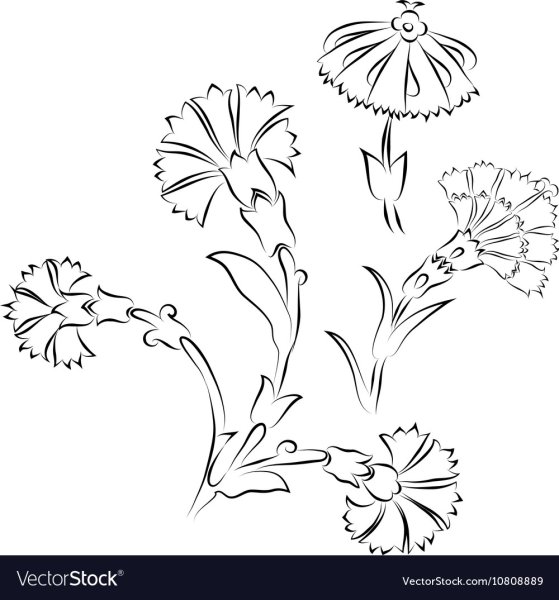 Гвоздики на окна