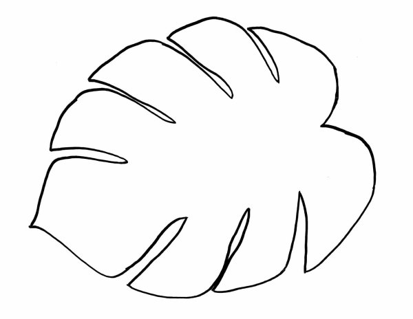 Тропические листья трафарет