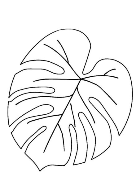 Листья пальмы вытынанки