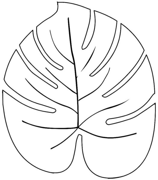 Трафареты экзотических листьев