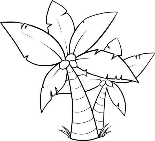Пальма раскраска для детей