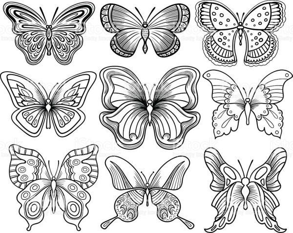 Раскраска для маленьких бабочка