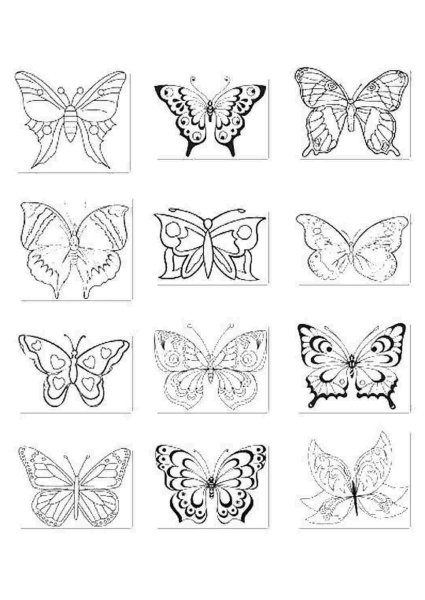 Раскраска "бабочки"