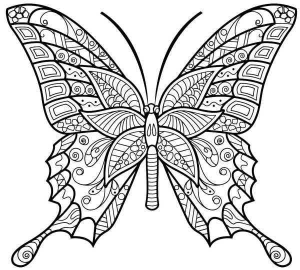 Раскраска "бабочки"