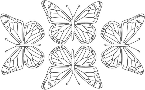 Трафарет бабочки для айсинга
