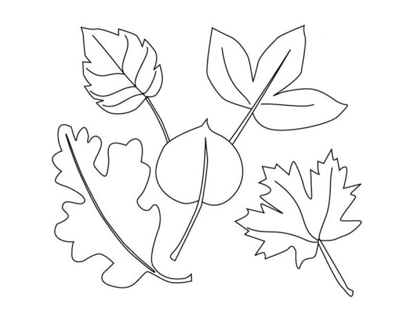 Осенние листочки раскраска