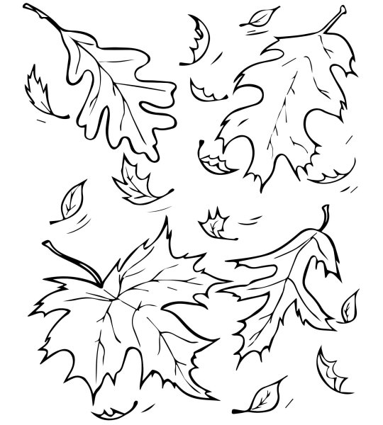 Раскраска. Осень