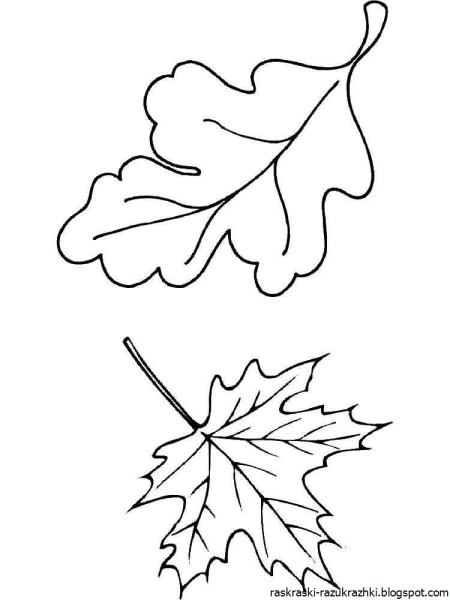 Раскраска листья деревьев для детей