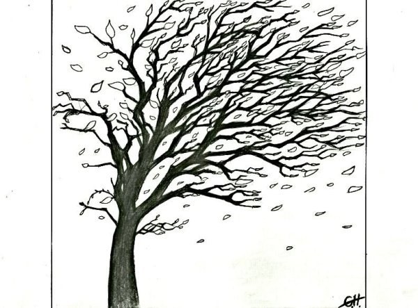 Рисование дерево на ветру