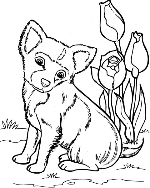 Раскраска собачка