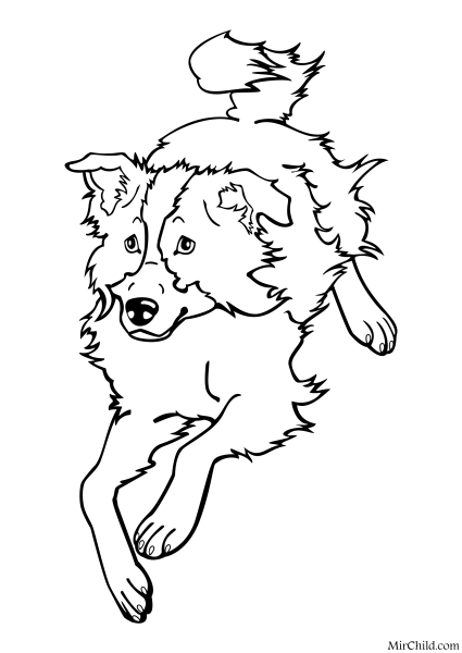 Раскраски для подростков собаки