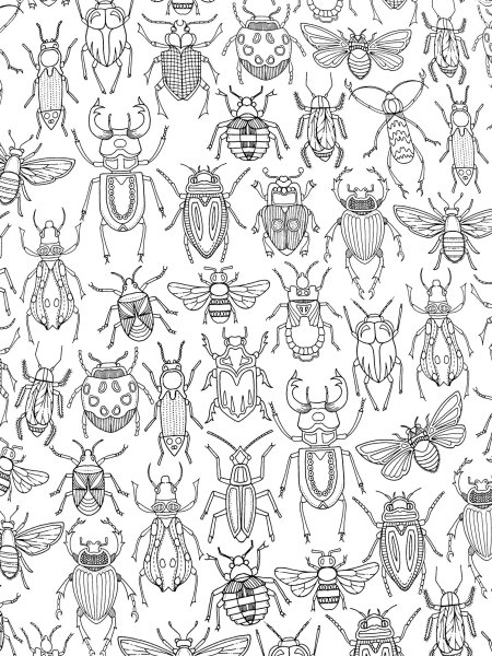Раскраска коллекция насекомых