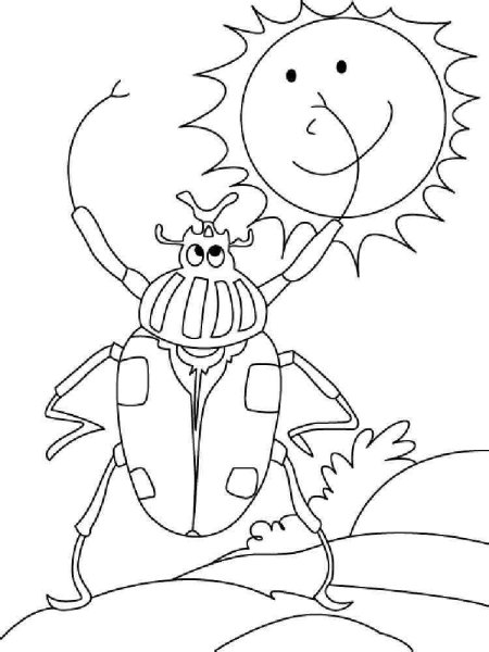 Жук раскраска