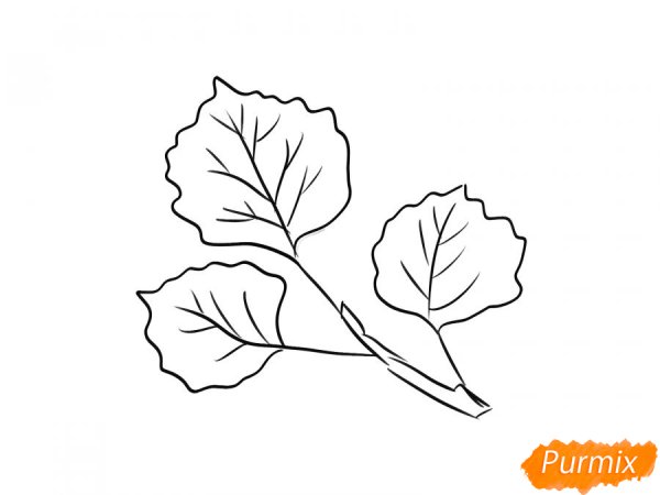 Лист осины раскраска