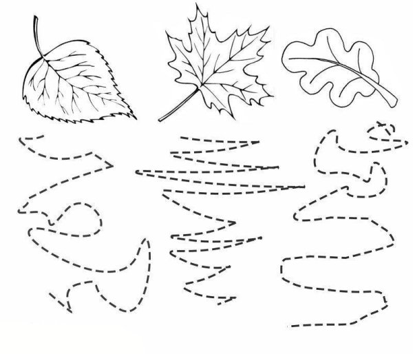 Осенние задания для дошкольников