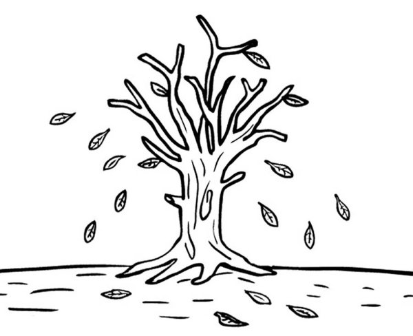 Осеннее дерево раскраска