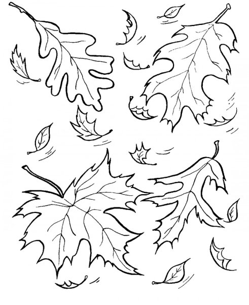 Раскраска. Осень