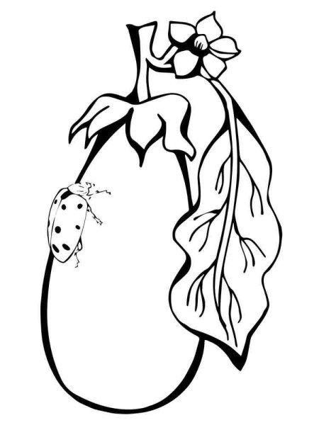 Баклажан раскраска для детей