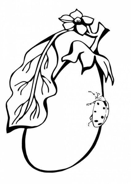 Баклажан раскраска для детей