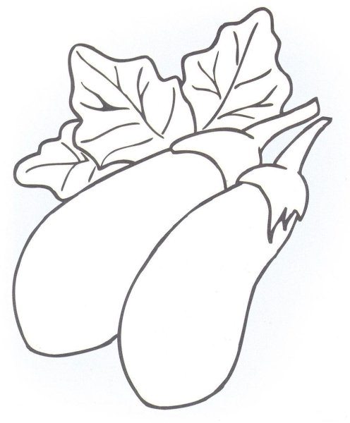 Раскраска для детей овощи баклажан