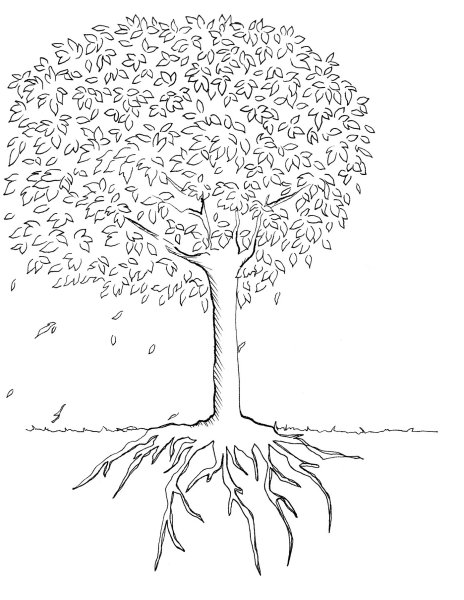 Раскраска дерево с кроной и с корнями