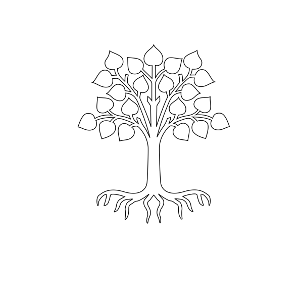 Корни дерева