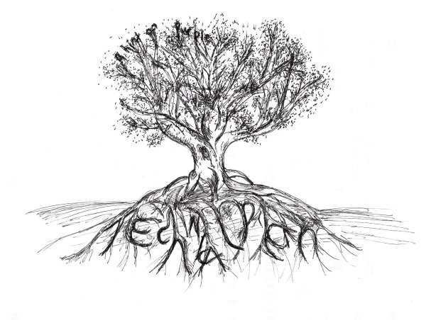 Корни дерева