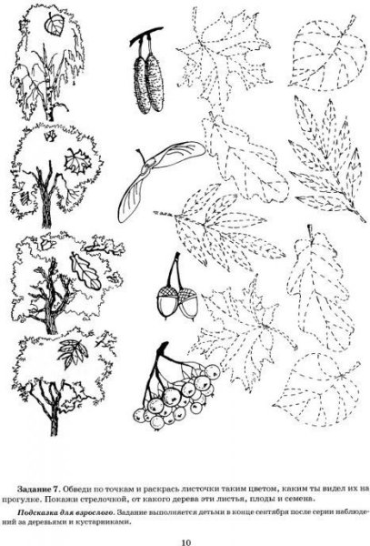 Деревья задания