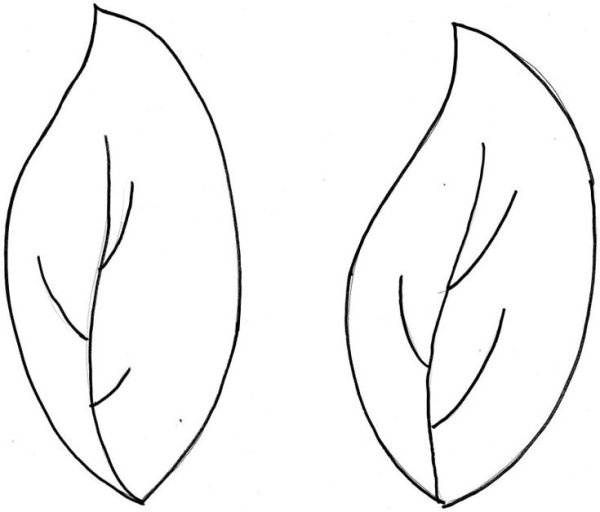 Шаблон листика цветка