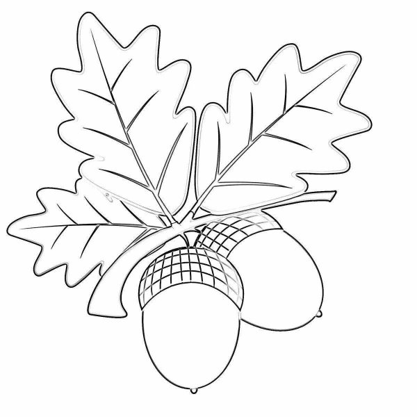 Дубовый лист трафарет