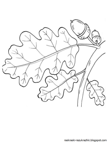 Листья фото раскраска