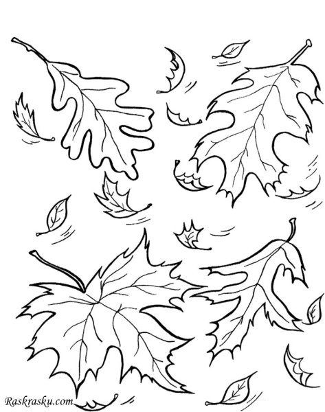 Раскраска. Осень