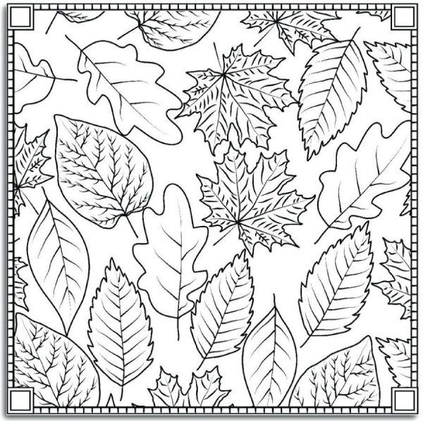 Листопад раскраска для детей