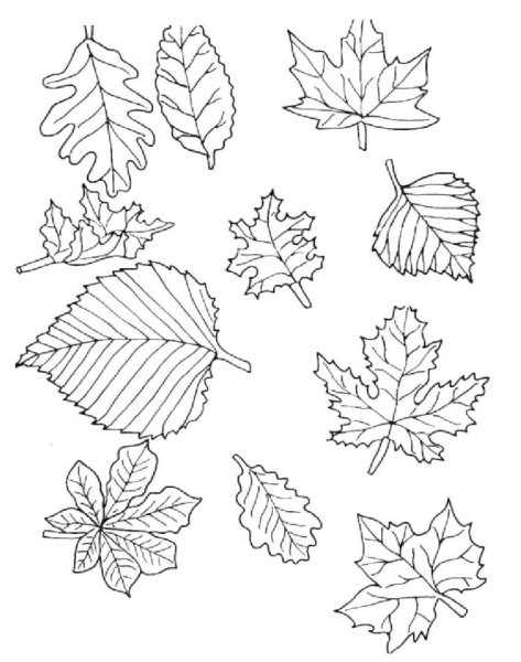Рисунки на маленьких листочках