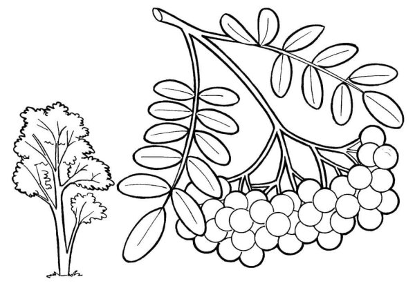 Осенняя раскраска