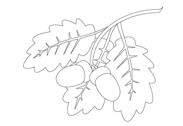 Дубовый лист раскраска