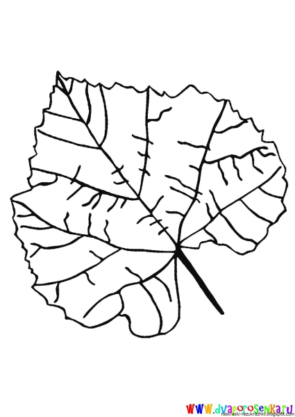 Раскраска листьев осины