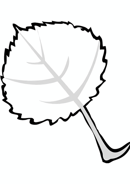 Лист осины раскраска