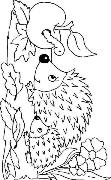 Раскраска Ёжик