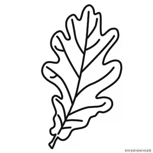 Дубовый лист контур