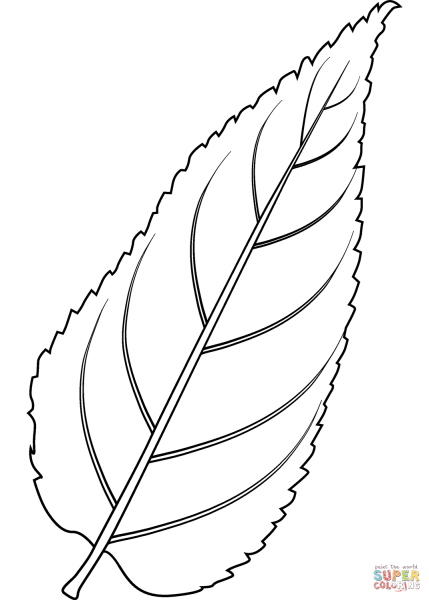 Лист ивы раскраска