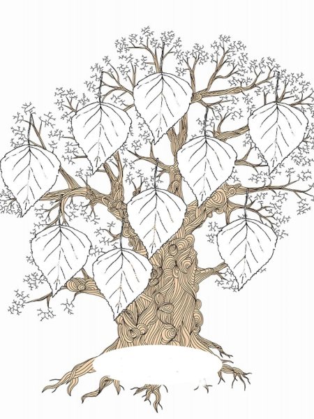 Листики деревьев для раскрашивания